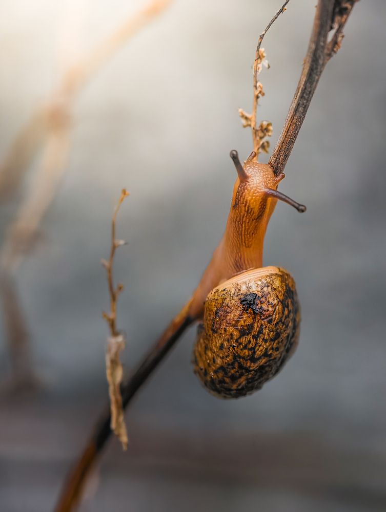 Photograph by Максим Симанчук