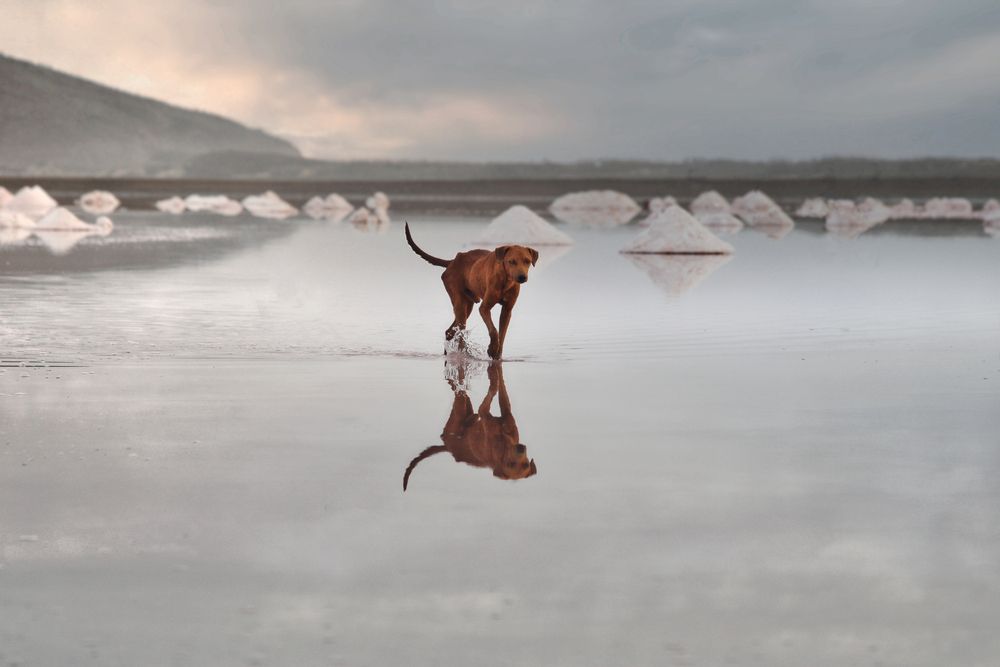 Solo en Las Salinas