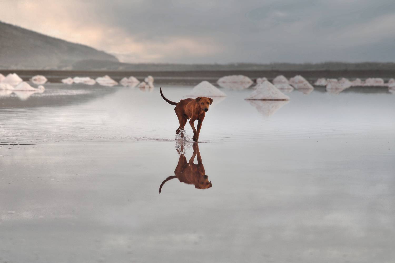 Solo en Las Salinas