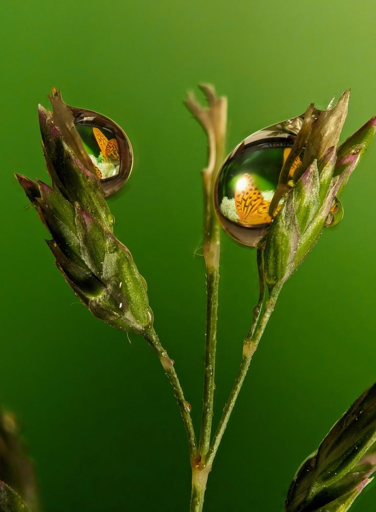 Photograph by Дмитрий Кузнецов