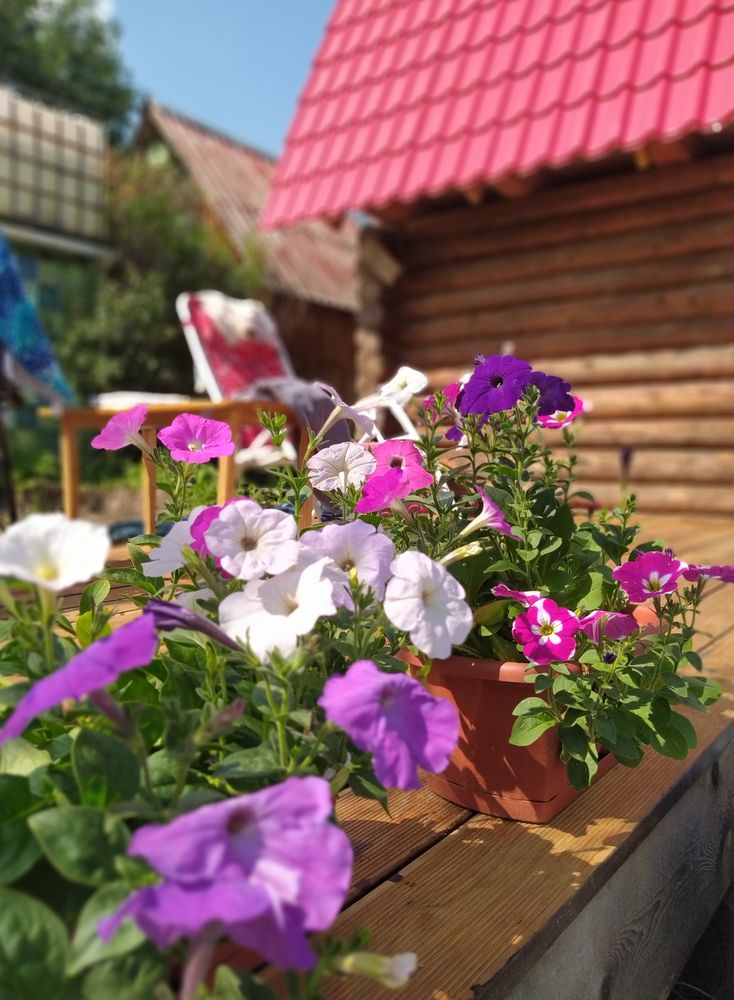 Photograph by Татьяна Никулина