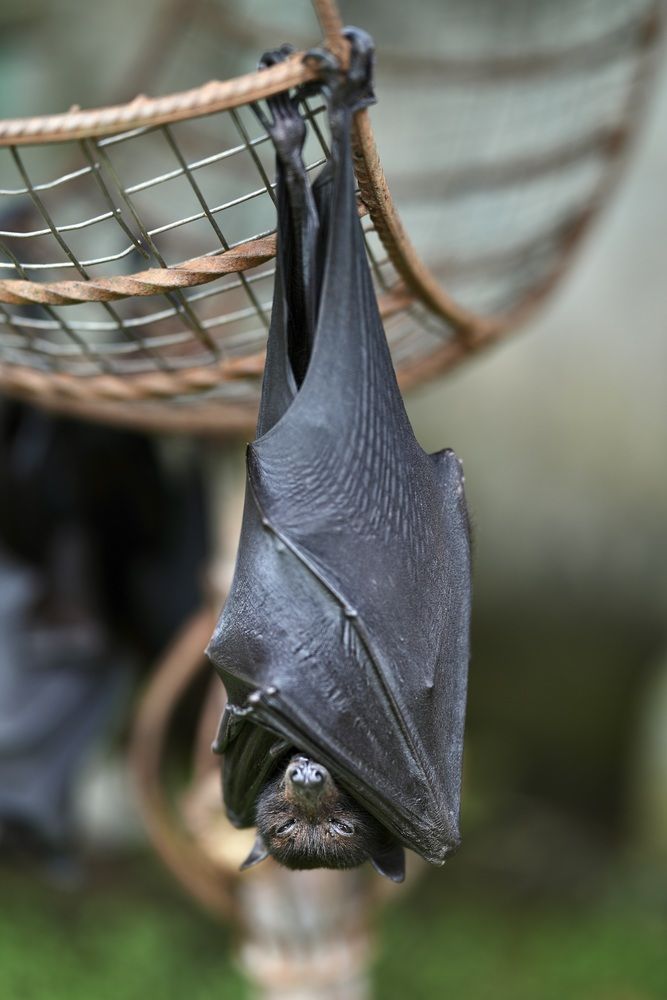 Photograph by Maria Protasevich