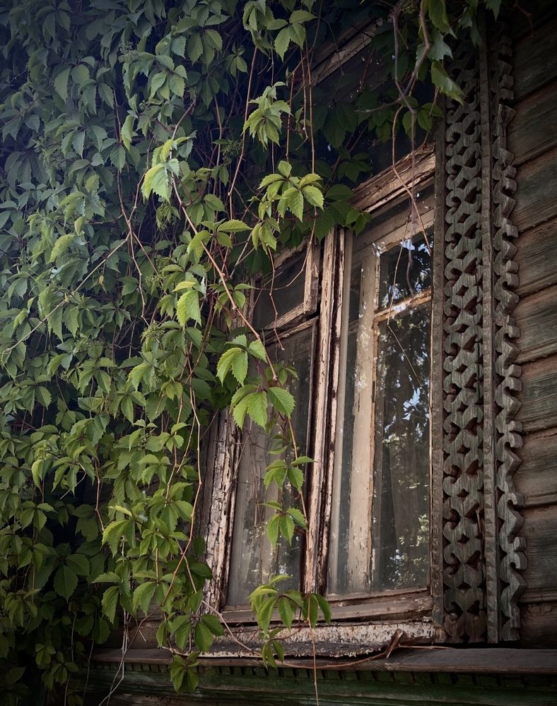 Photograph by Ольга Миронова