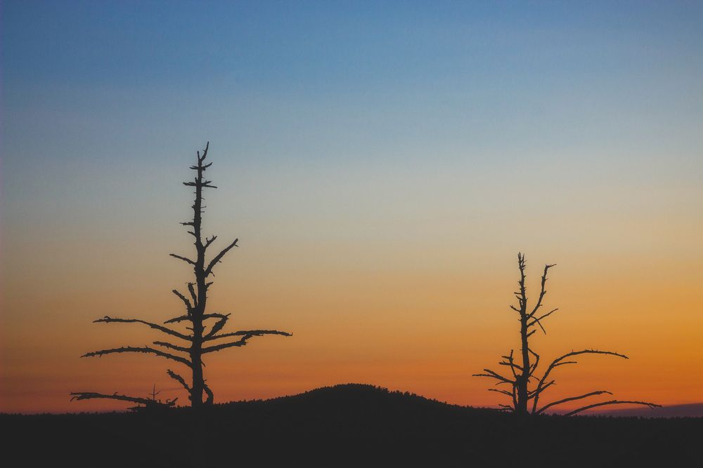 Photograph by Александр Салякаев