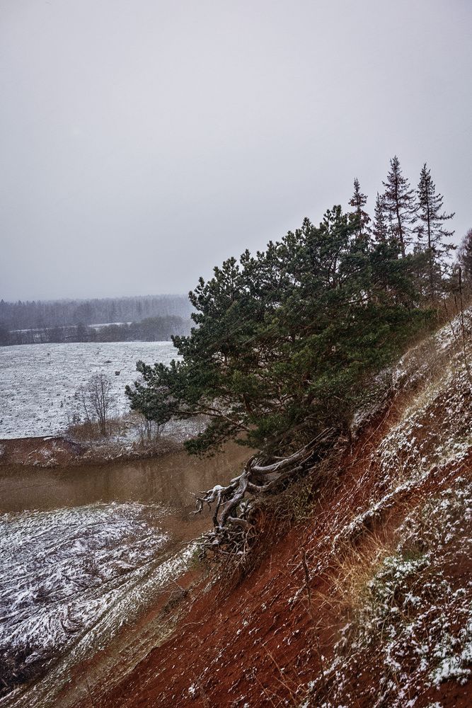 Photograph by Алексей Широбоков