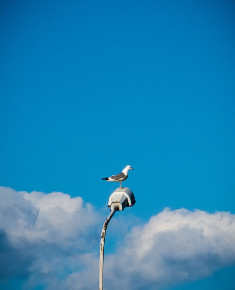 Photograph by Сергей Викторович
