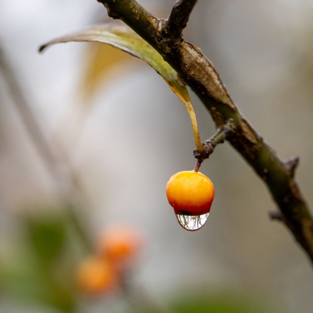 Photograph by Анатолий Костерев