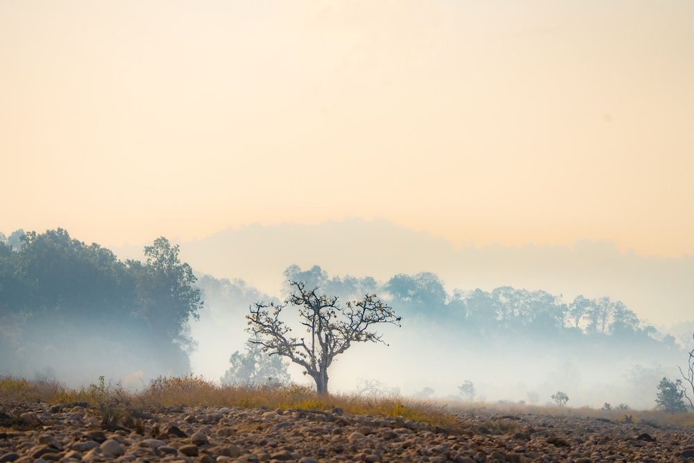 Photograph by mahadevan Arige