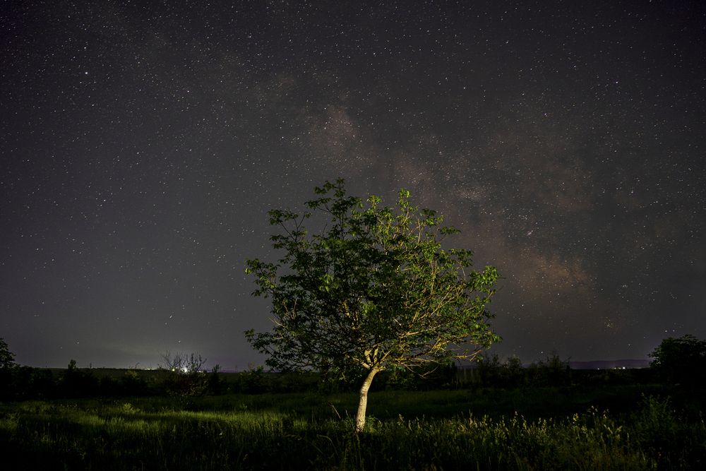 Photograph by Rustem Muraxas