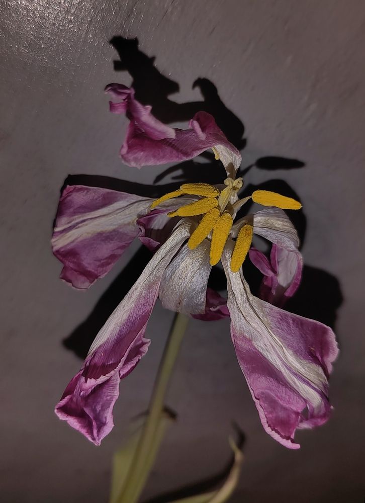 Photograph by Ирина Сидоренко