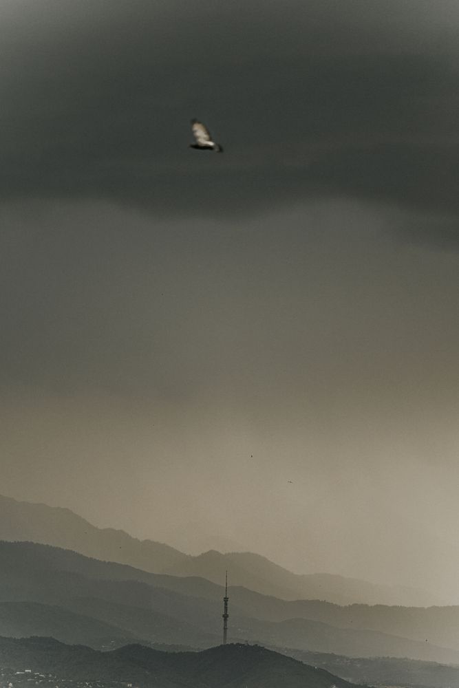 Photograph by ANASTASSIYA ARCHENKOVA