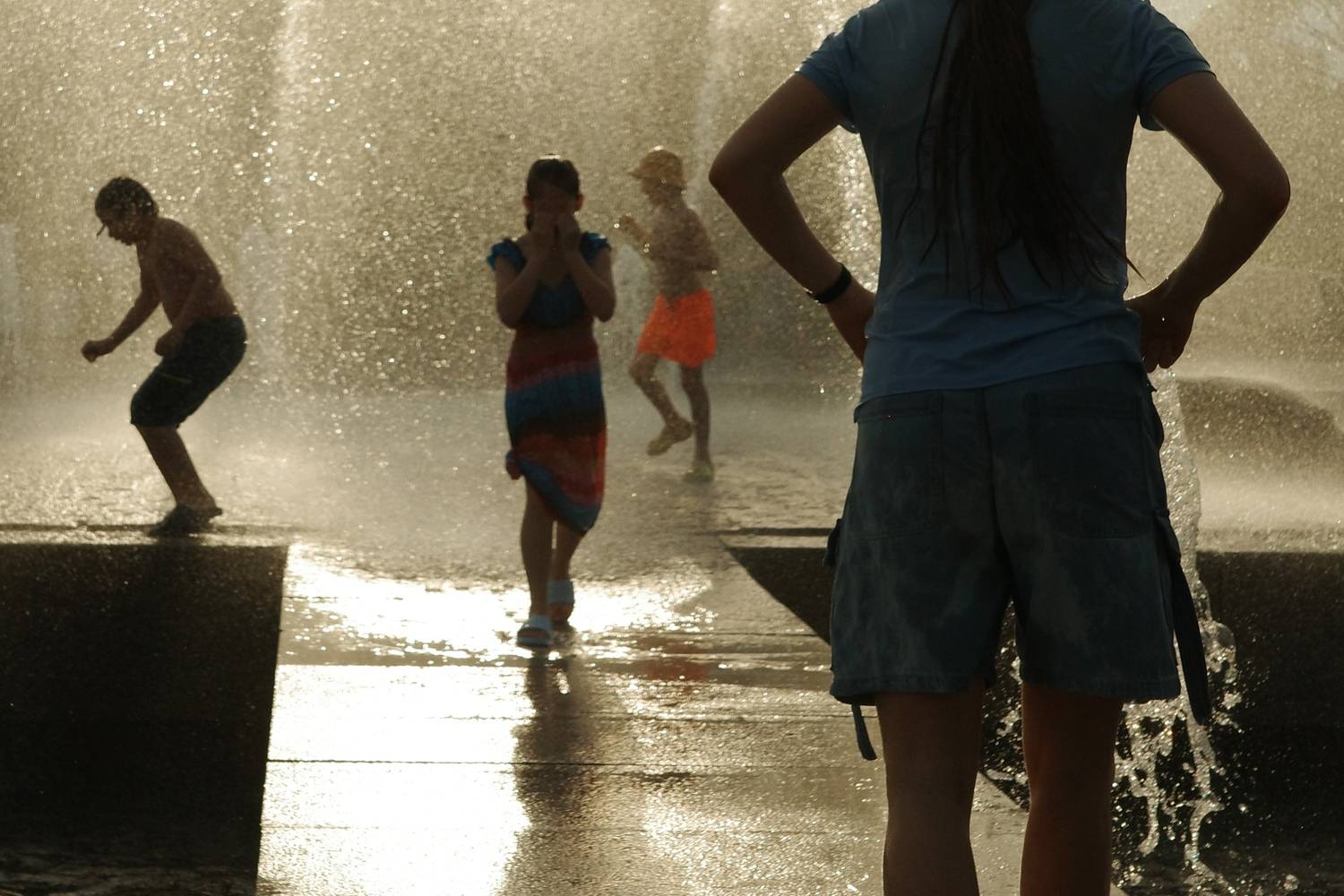 Photo #13664682