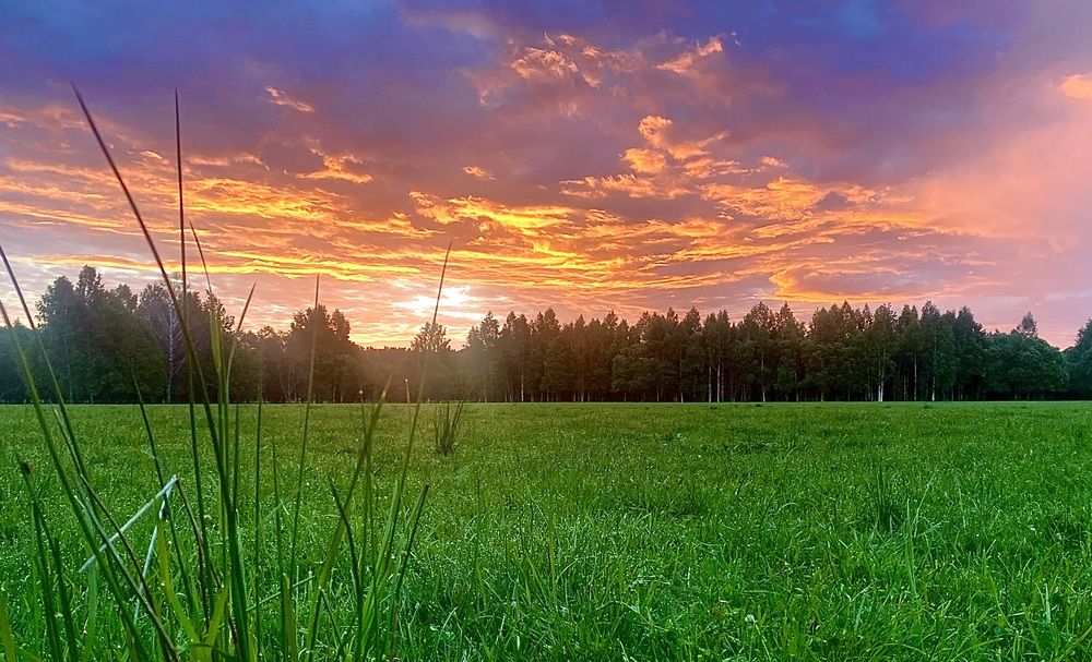 Огненное утро