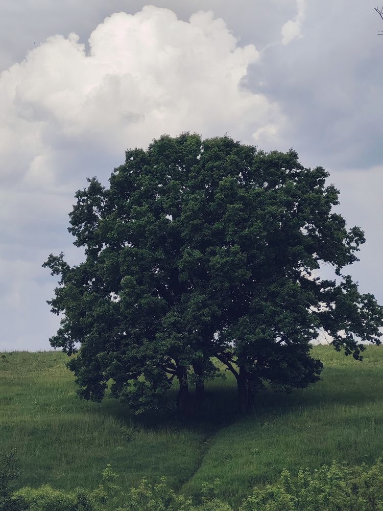 Photograph by Александр Казаков