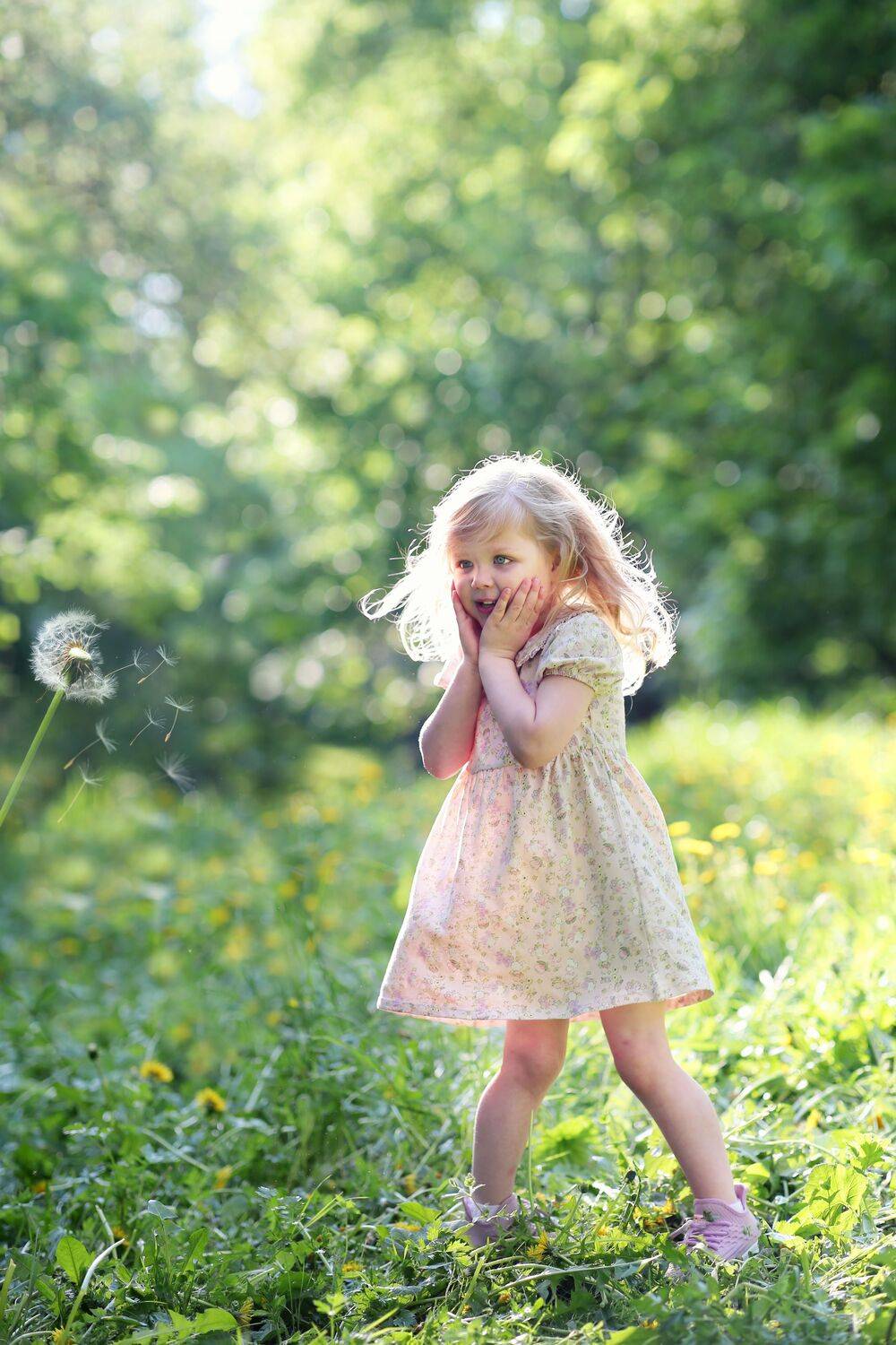 Photo #13664852