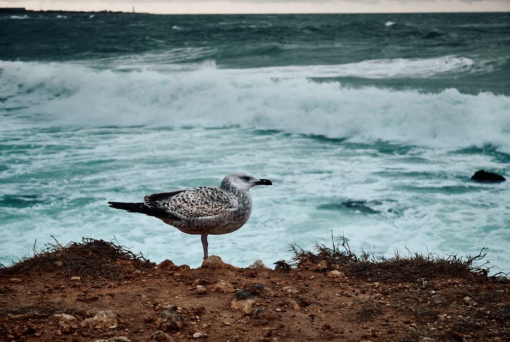 Photograph by Константин Громов