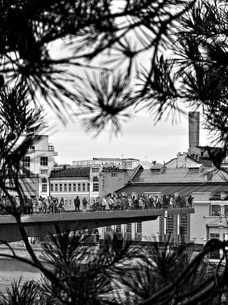 Photograph by Елена Чулюнина