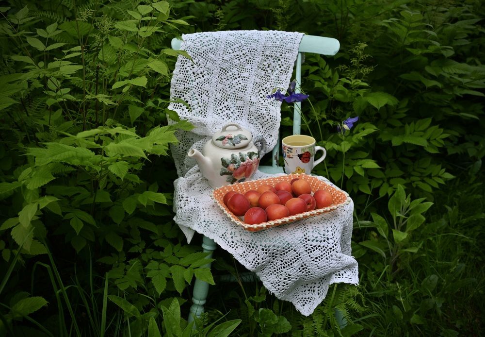 Abricots