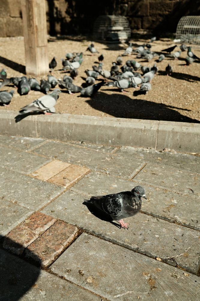 Photograph by Eyüp Sayar