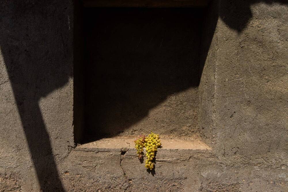 Photograph by amir ali navadeh shahla