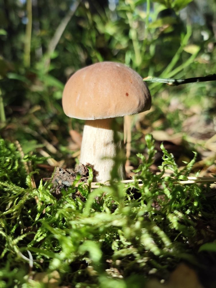 Photograph by Наталья Додонова