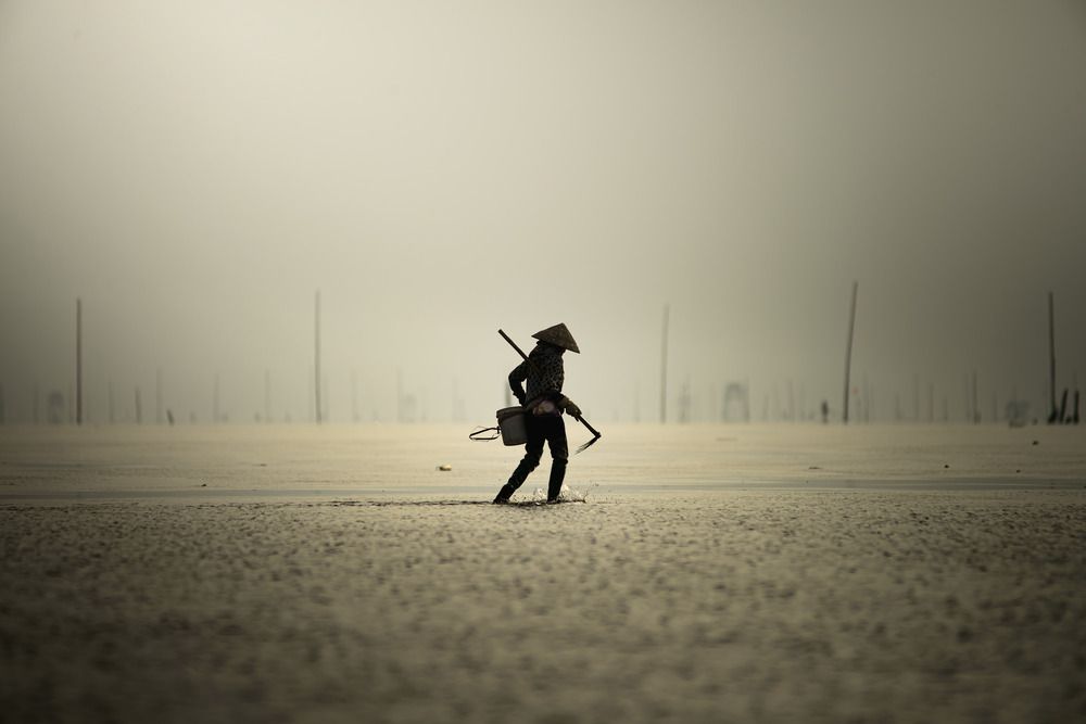 Photograph by Bùi Nguyễn