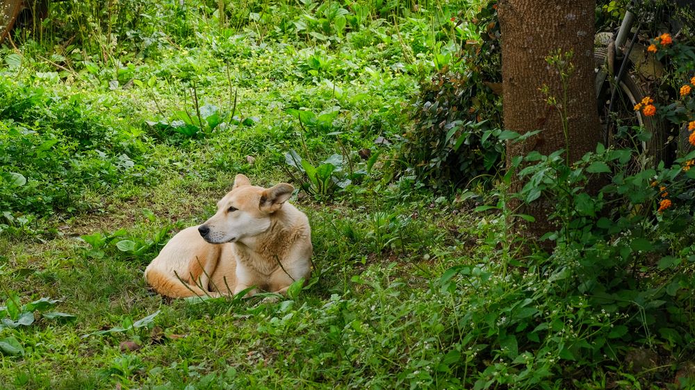 Photograph by Ngọc Phú Nguyễn