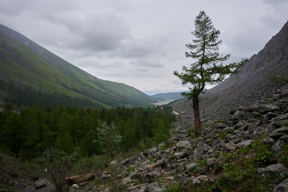 Photograph by Сергей Анисимов