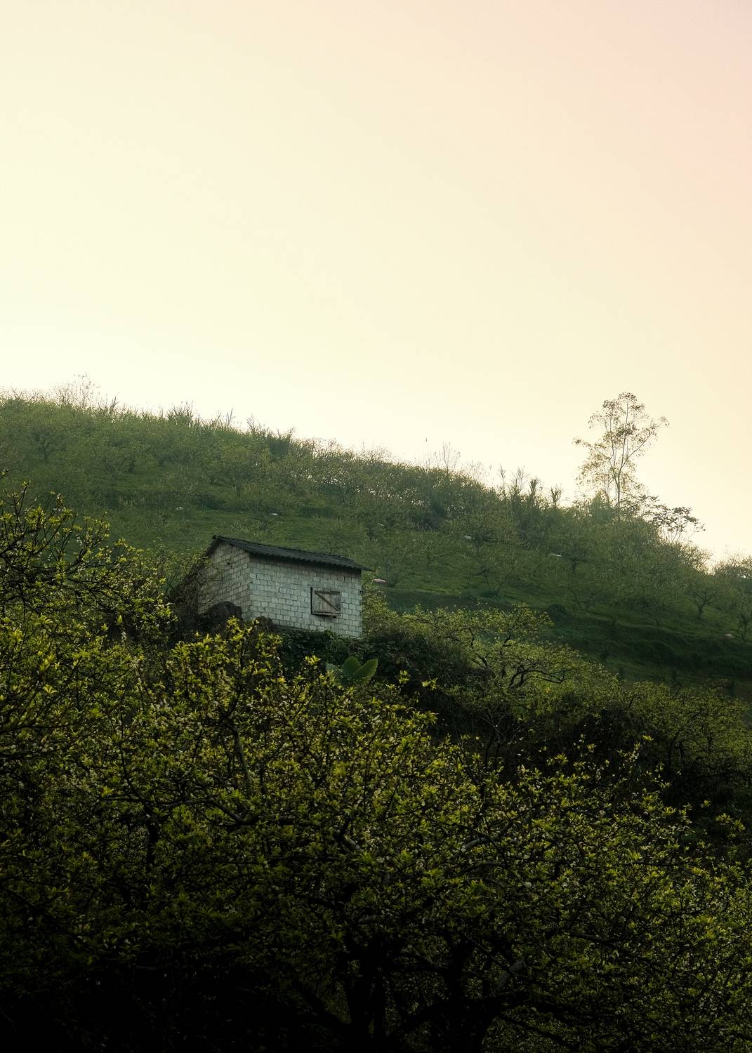Photo #13665209