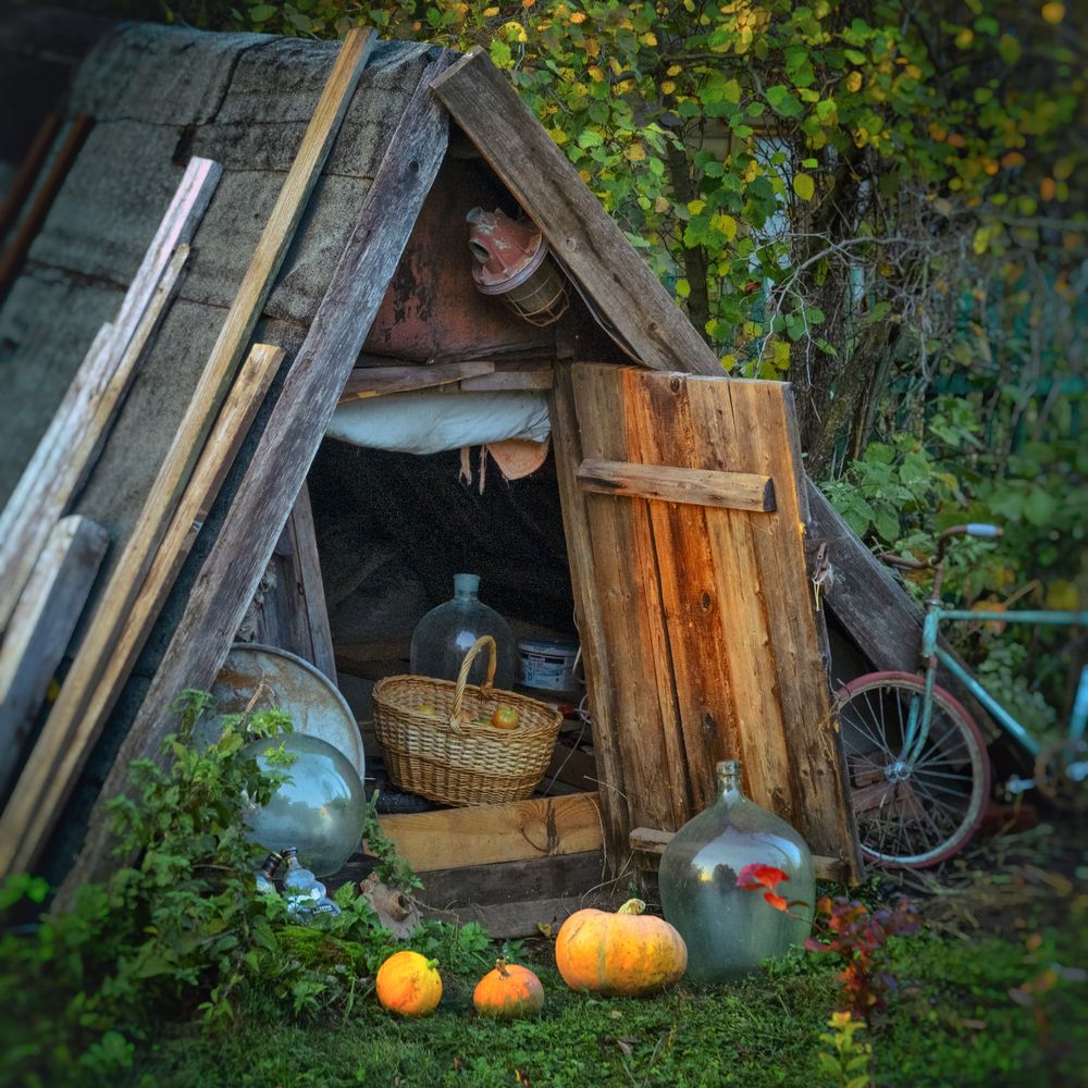 Photograph by Владимир Лосман