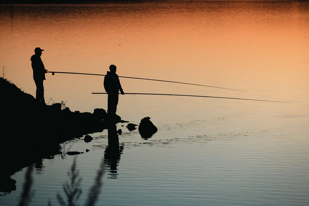 Photograph by Евгения Буйских