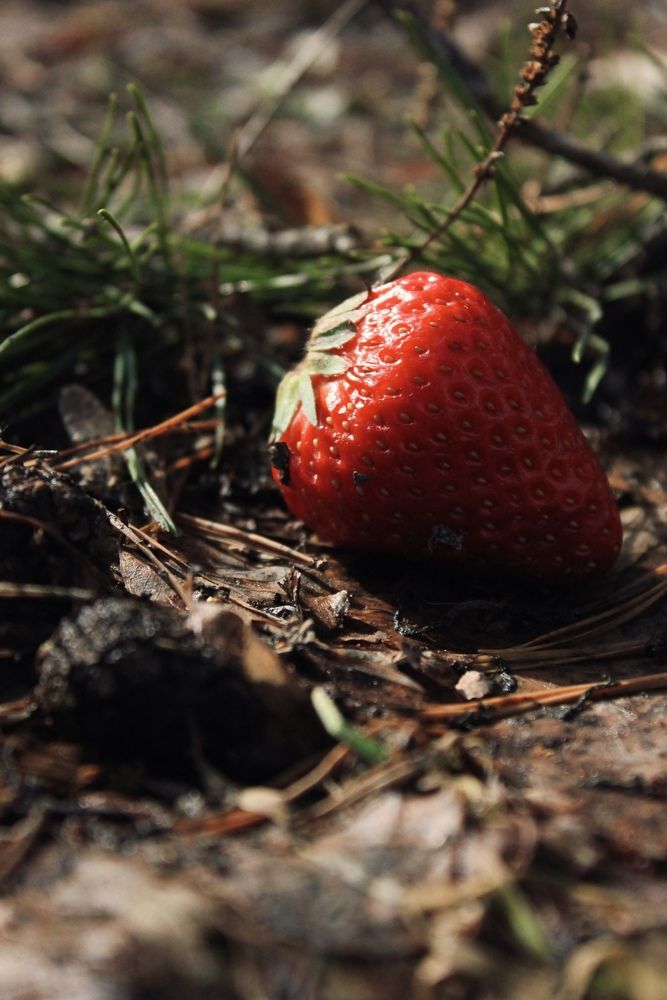 Photograph by Дарья Чертенкова