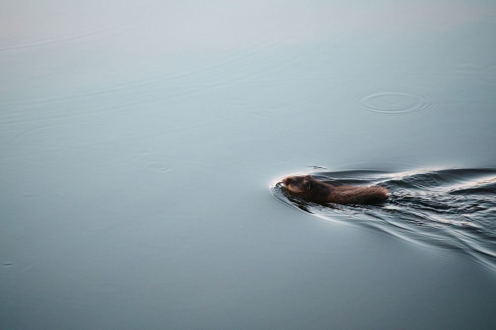 Photograph by Евгения Буйских