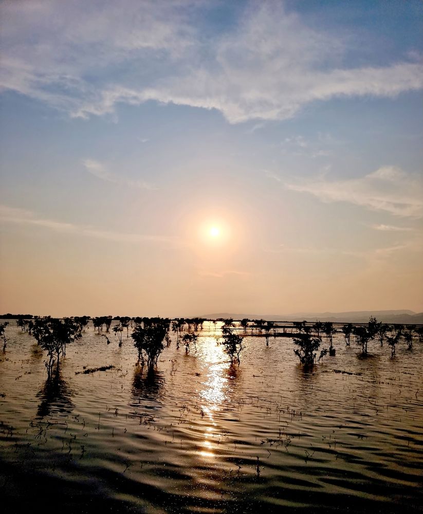 Sunbeams Over Tanguar Haor