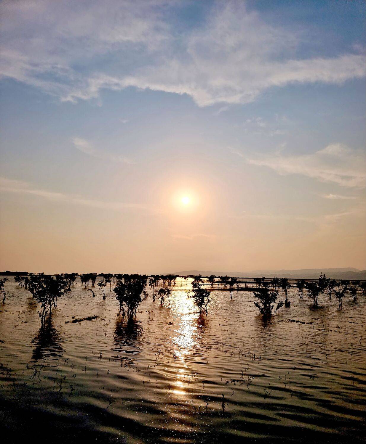 Sunbeams Over Tanguar Haor