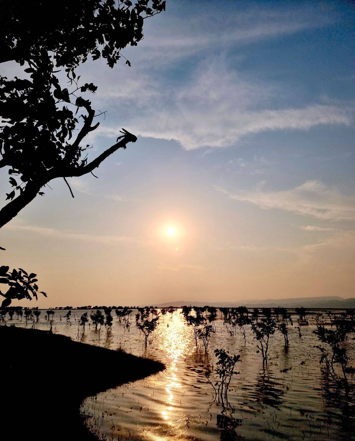 he Flooded Forests of Tanguar Haor