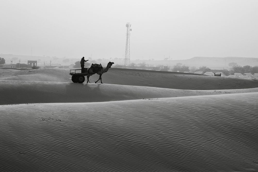 Photograph by MSSV PRASAD