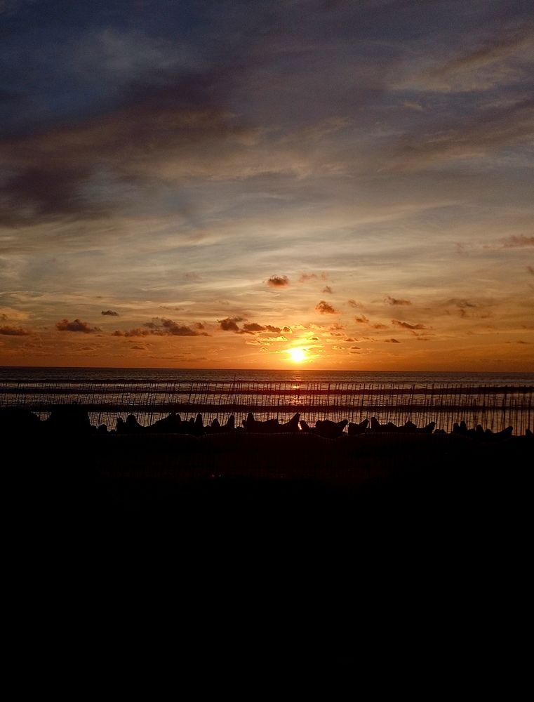 Fiery Dusk over Cox\'s Bazar