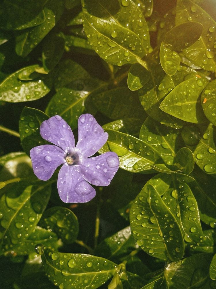 Photograph by Лилия Билалова