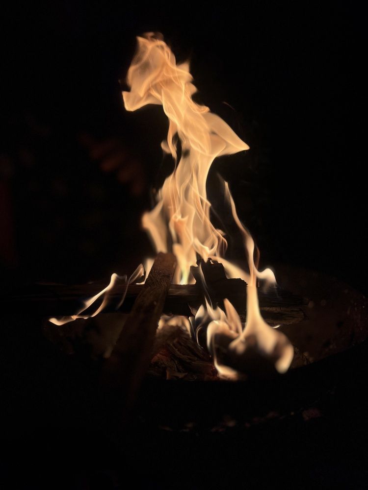 Photograph by Pihu chudasama