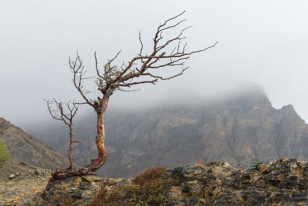 Photograph by Альберт Куулар