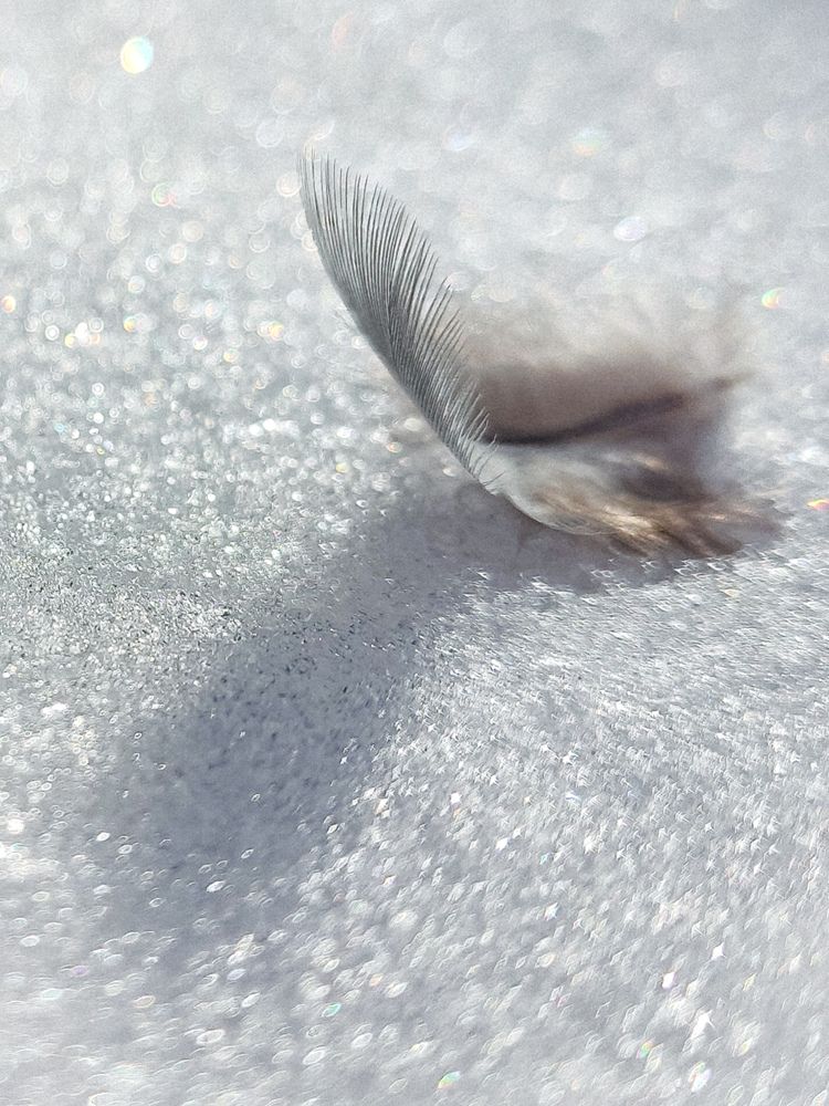 Photograph by Евгения Гродинская