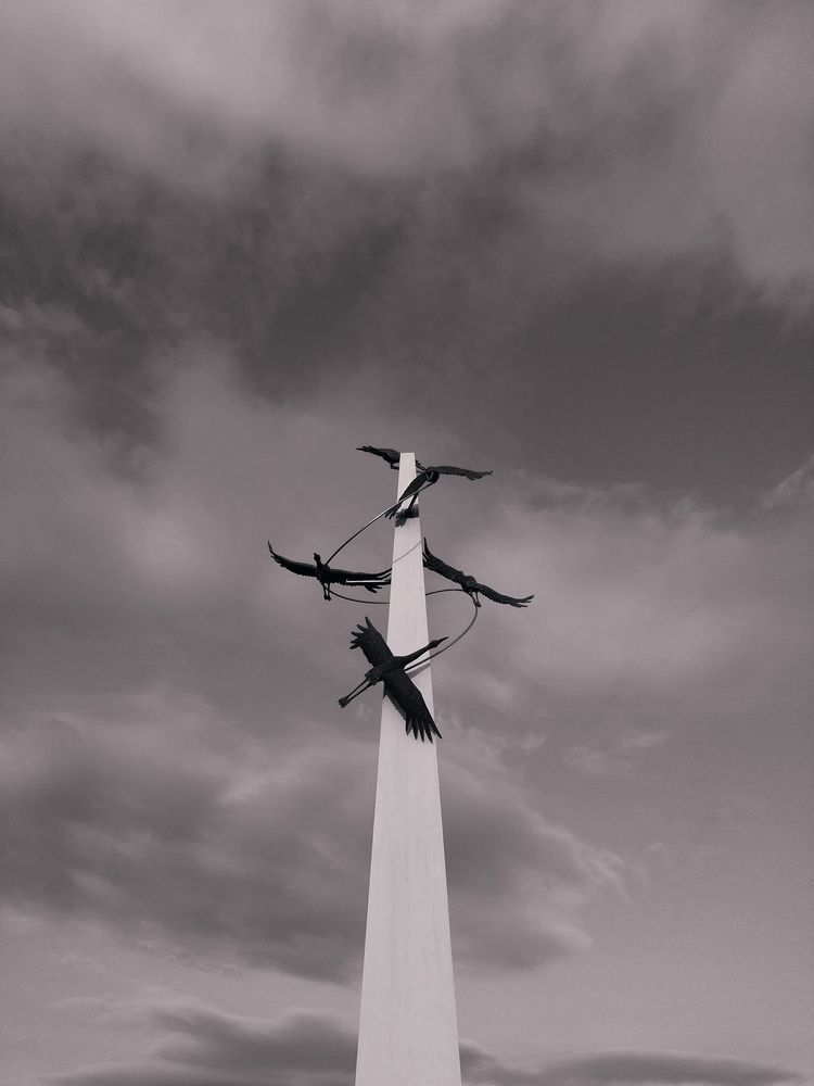 Photograph by Светлана Ищенко
