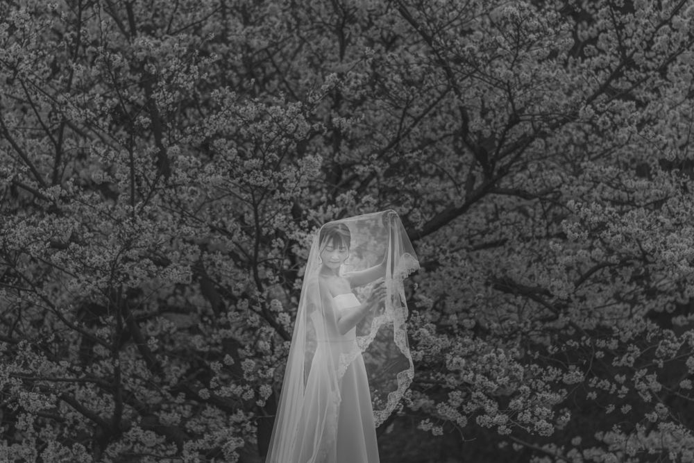 Photograph by Koyama Takeru