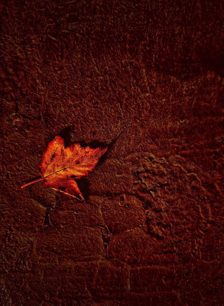 Photograph by Мария