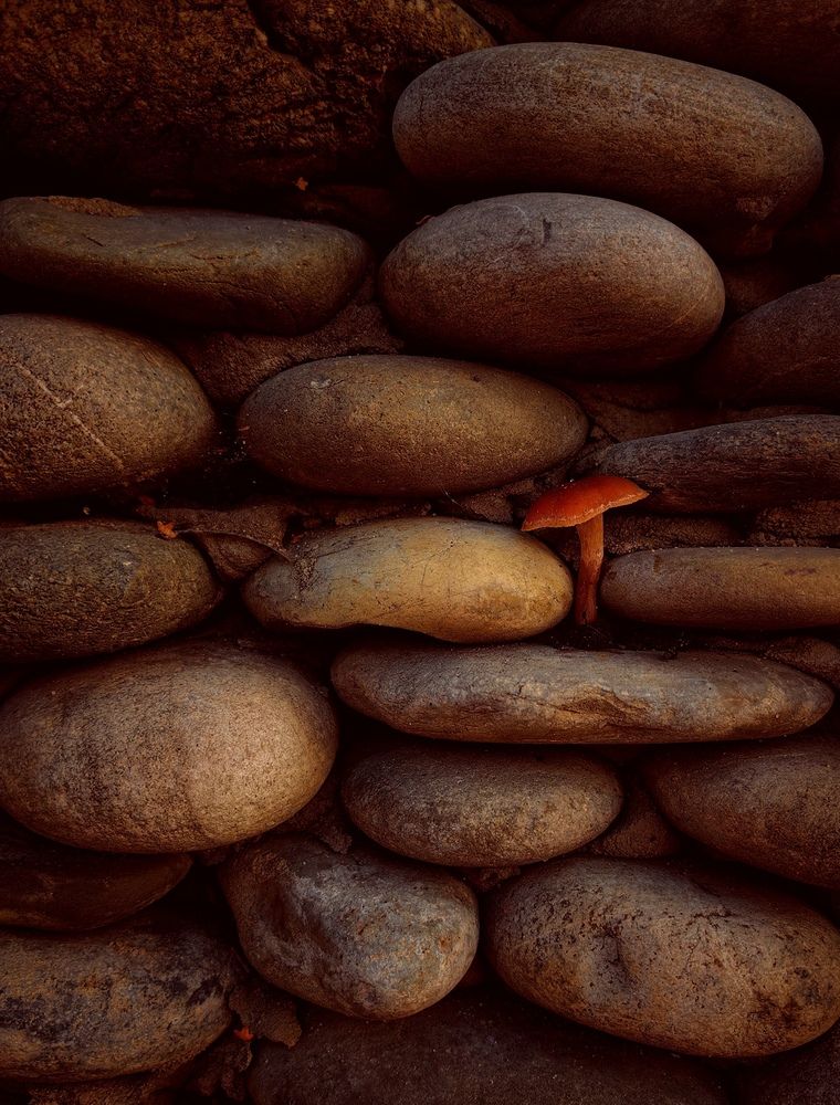 Photograph by Мария