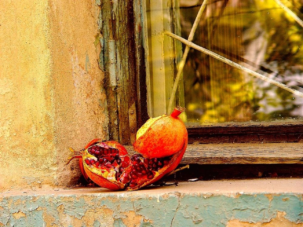 Photograph by Hvabek Kim