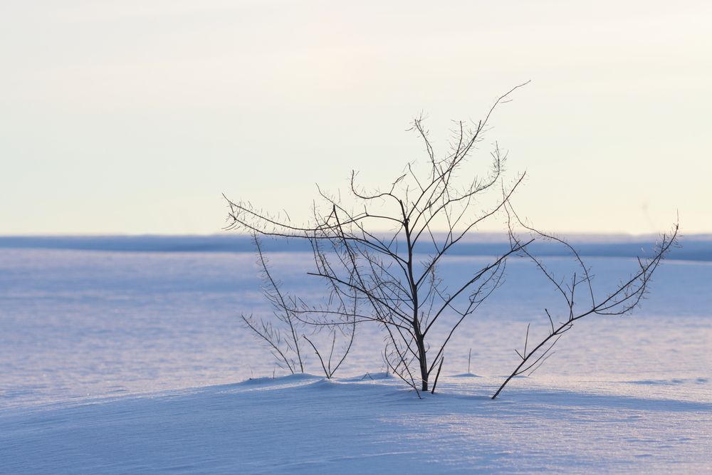 Photograph by Михаил Батурицкий