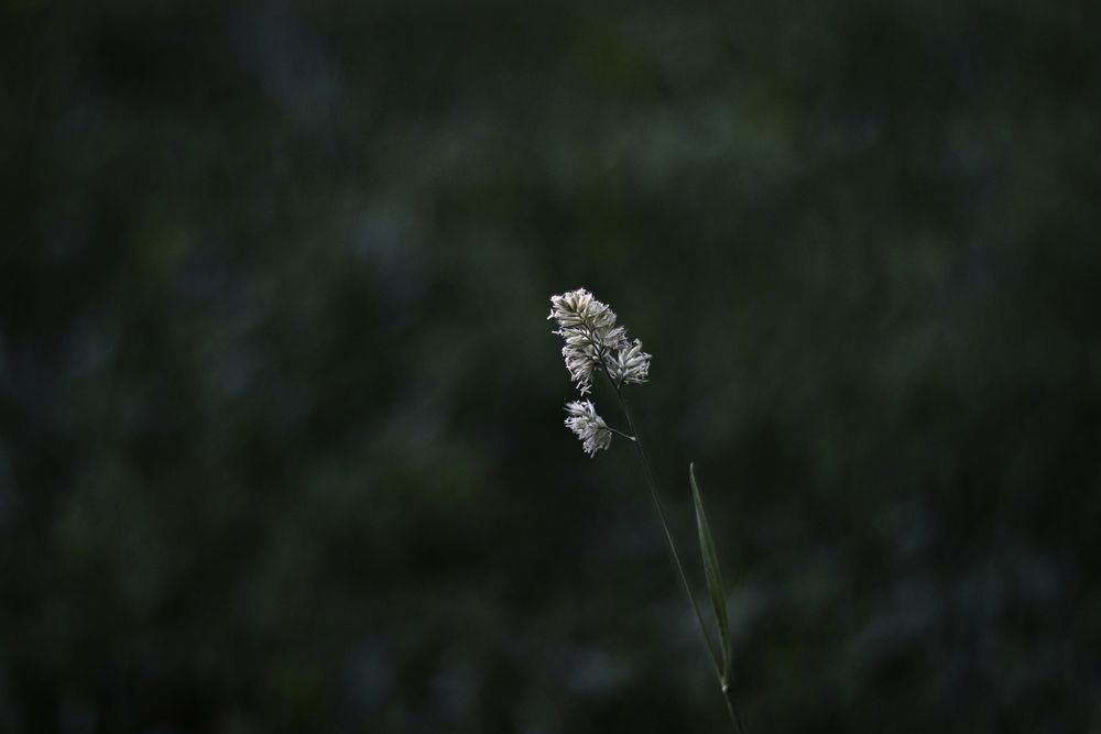 Photograph by Екатерина Самошкина