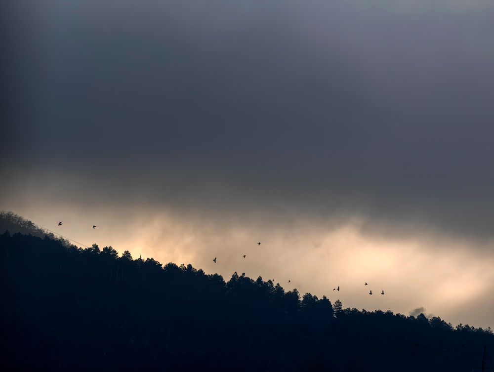 Photograph by Евгений Порсов
